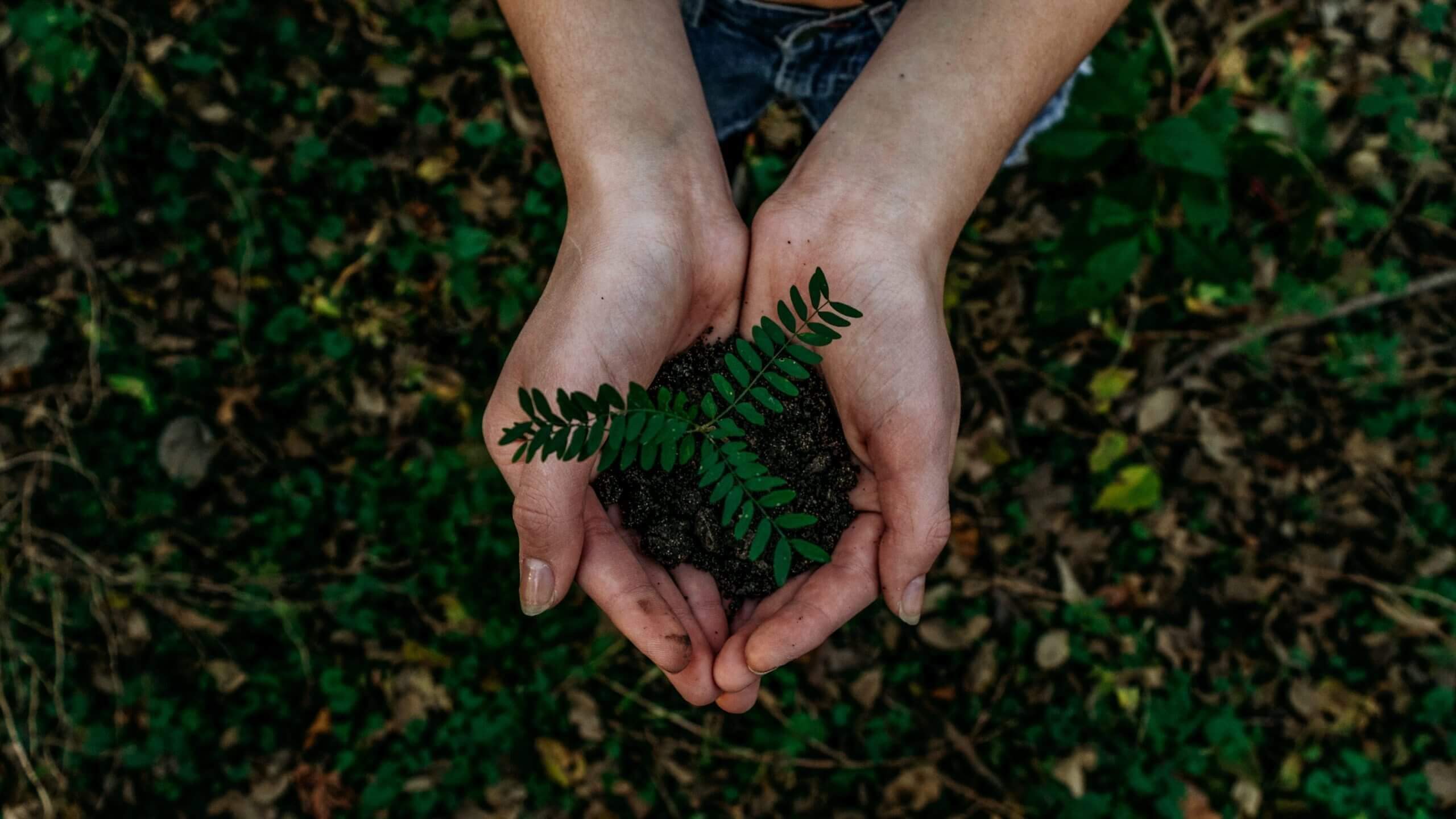 noah-buscher-x8ZStukS2PM-unsplash