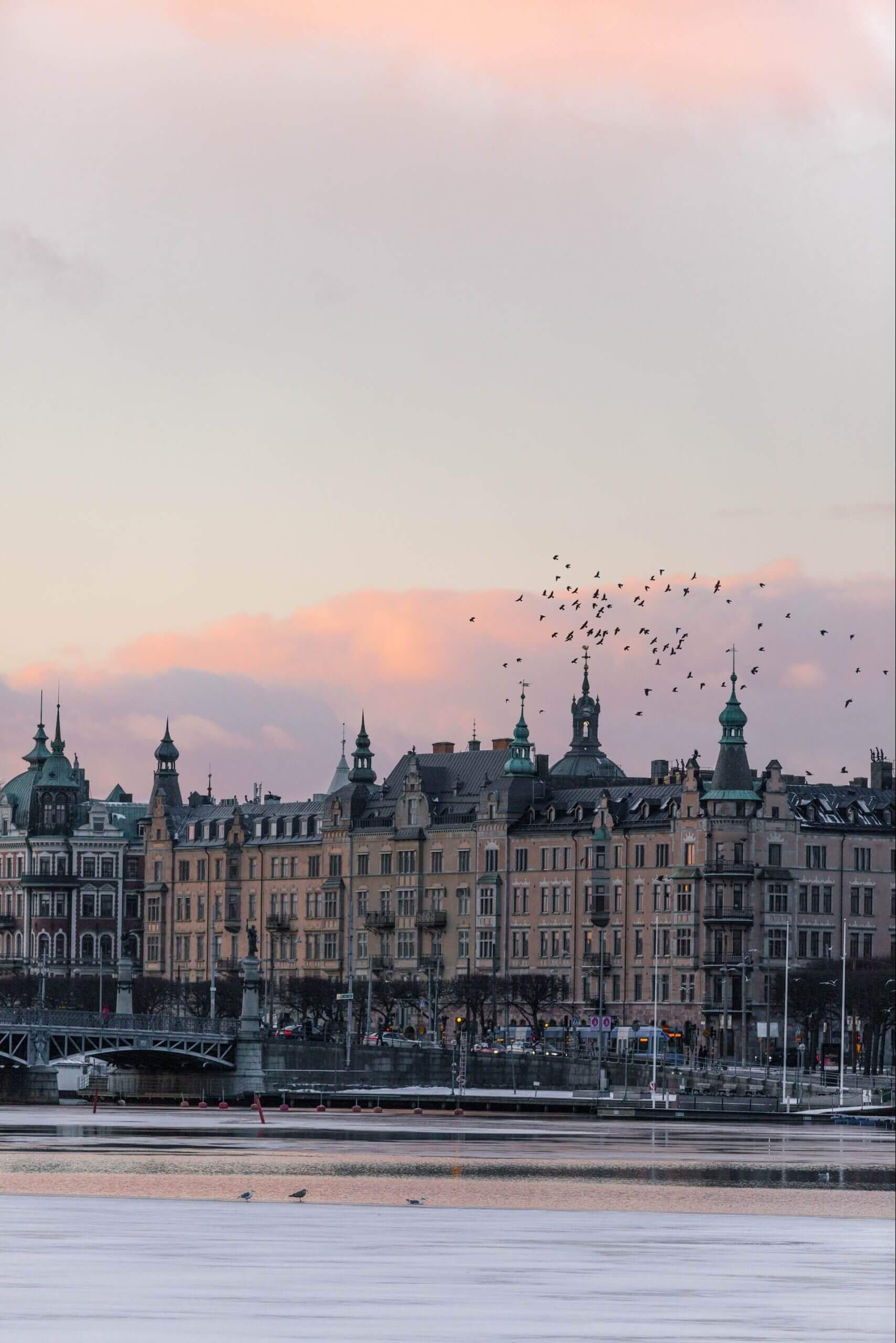 marten-bjork-zr-zkaQd7f4-unsplash