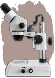 Artificial Intelligence Artificial Intelligence Executive Search