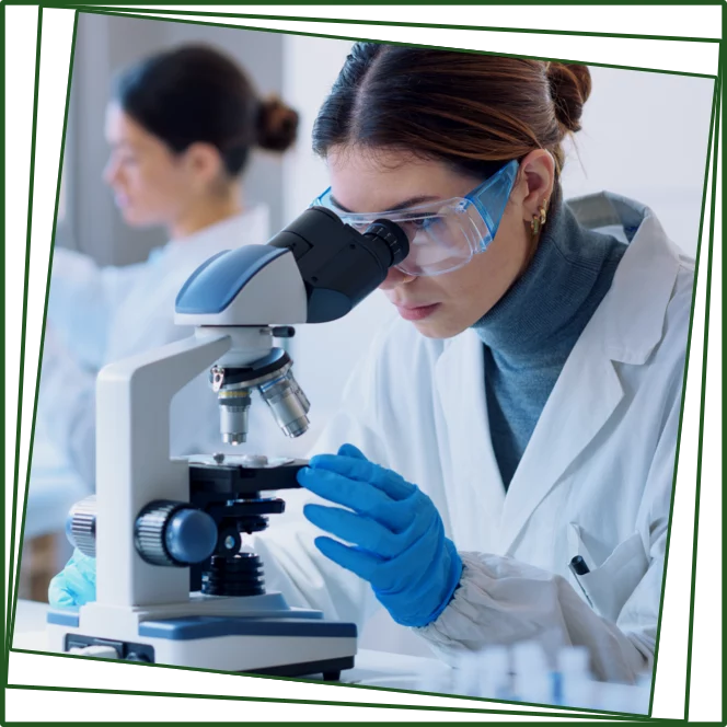 Pharmaceutical Pharmaceutical Recruiters