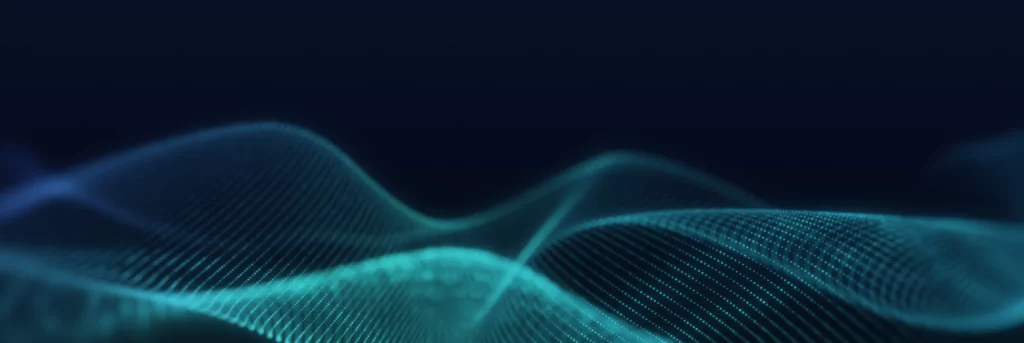 Chief Data Officer