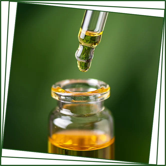 Cannabis Cannabis Recruiters