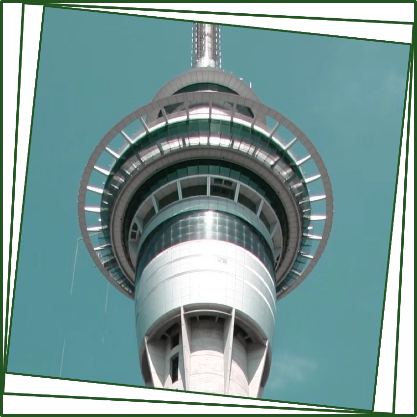 auckland-splash