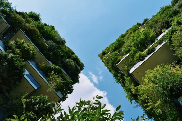 ESG and Corporate Responsibility ESG and Corporate Responsibility