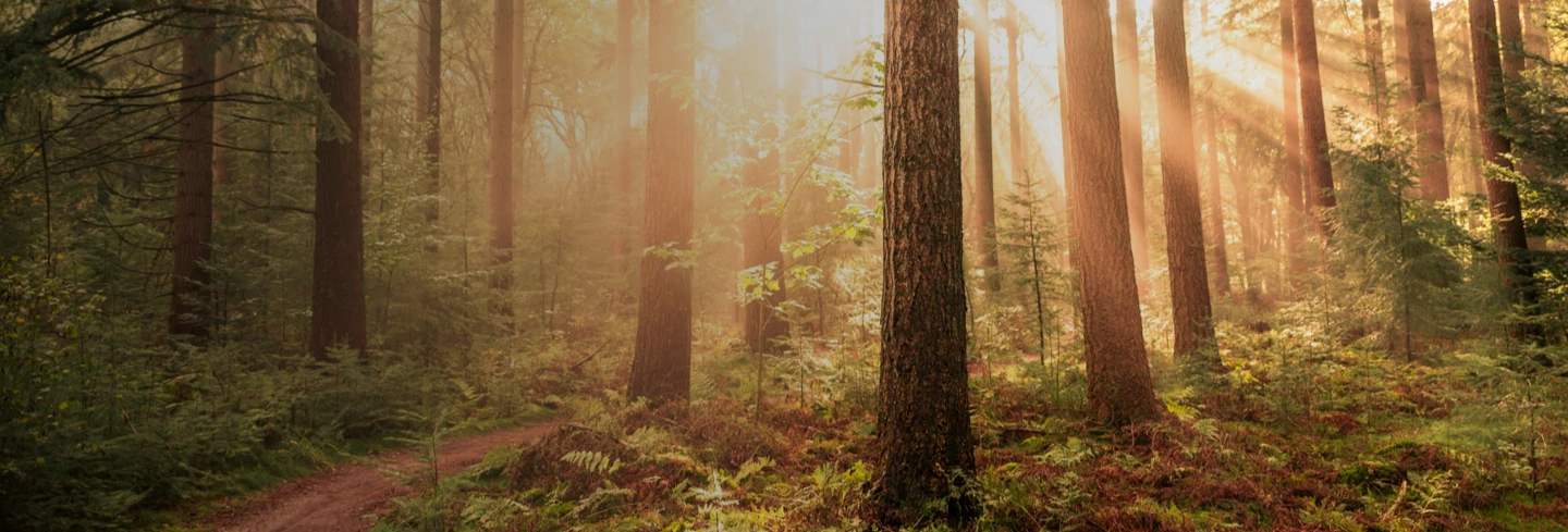 ESG and Corporate Responsibility ESG and Corporate Responsibility