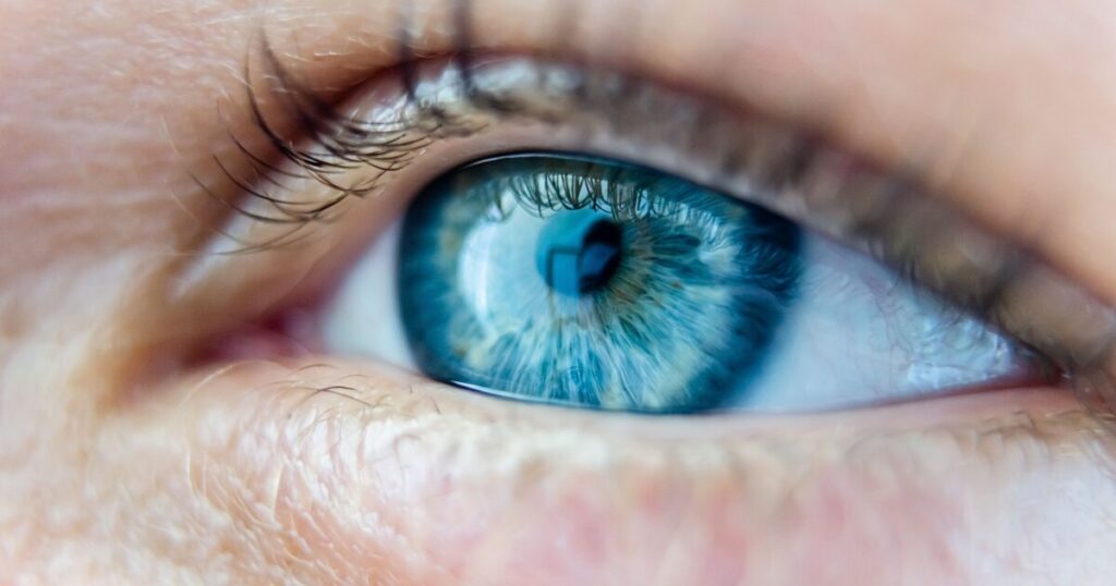Dual Senior Appointments for a PE-Backed Ophthalmology Company at a Critical Growth Inflection Point
