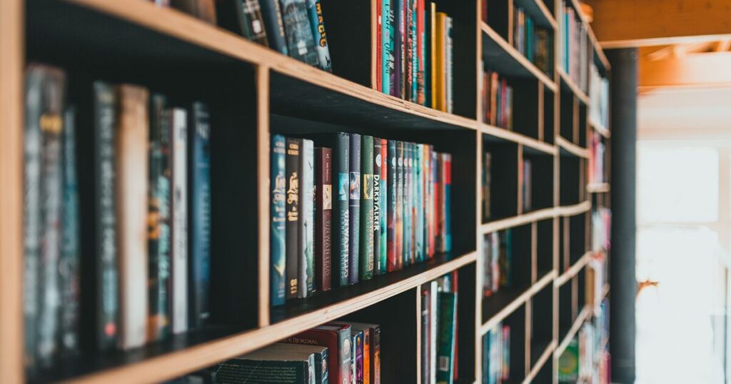 Director of IT to Modernize a Multi-Site Public Library System